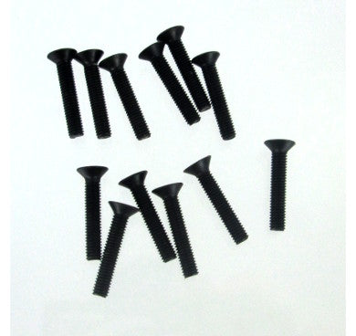 Redcat Racing  Flat Cross Screw(TPF3*16)   12 PCS BS903-069 - RedcatRacing.Toys